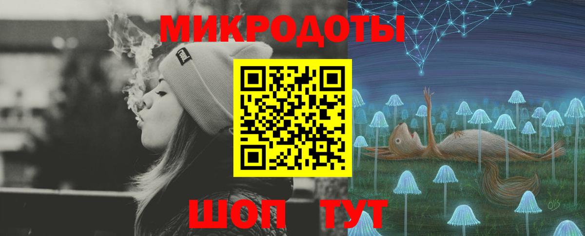 Галлюциногенные грибы Psilocybine cubensis Великий Устюг