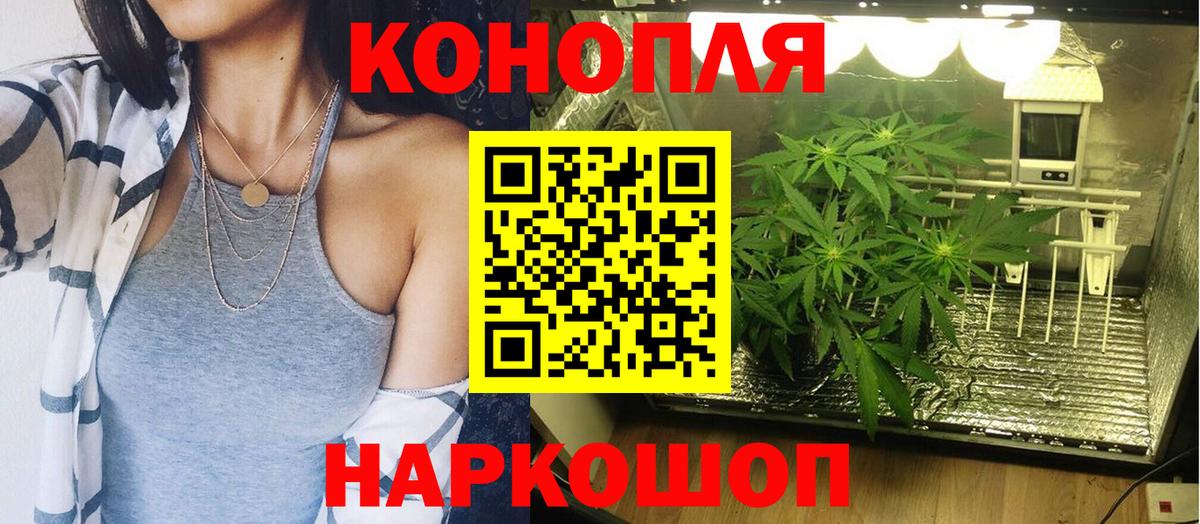 Шишки марихуана конопля  Конопля Ganja  МАРИХУАНА план  Бошки марихуана MAZAR  Великий Устюг  Вход с VPN 